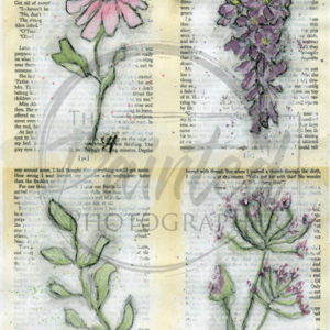 journal sketch 4 up color