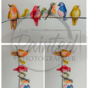 multiple feathered friends