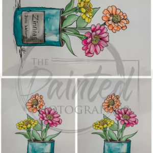 multiple zinnia brillance