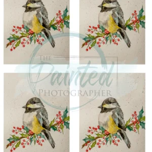 Merry Tweet Mis Watercolor Rice (Decoupage) Paper