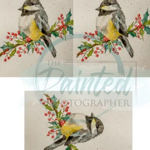 Merry Tweet Mis Watercolor – Rice Decoupage Paper (3 Designs)