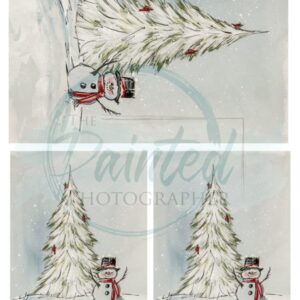 Winter Visitor Rice (Decoupage) Paper